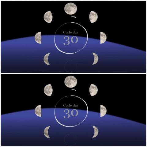 يشير نمط نومنا إلى أن إيقاعاتنا اليومية الطبيعية متزامنة بطريقة ما مع مراحل الدورة القمرية (يوتيوب-جامعة واشنطن)